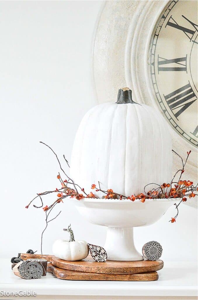 PUMPKIN IN A FOOTED BOWL WITH BITTERSWEET