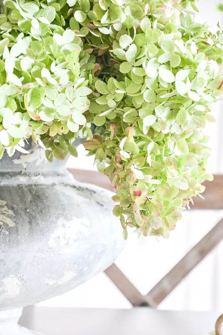 green dried hydrangeas