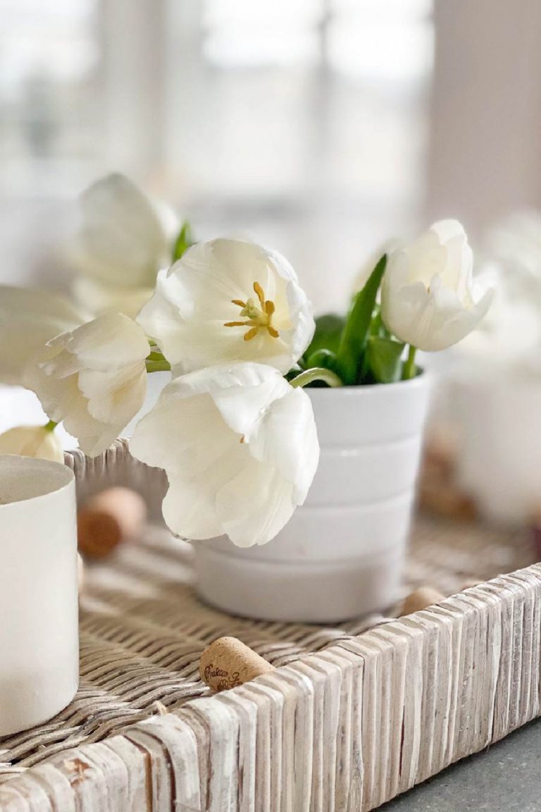 CLOSE UP OF TULIPS IN A WINTER CENTERPIECE