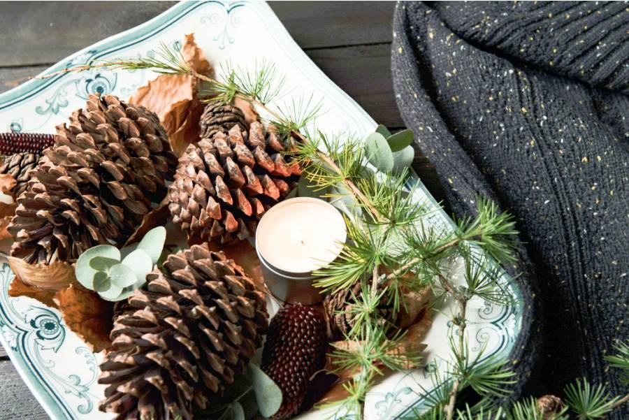 TRAY OF PINECONES