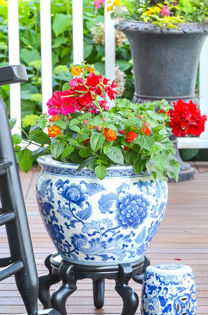 blue and white chinoiserie pot filled with red and pink flowers