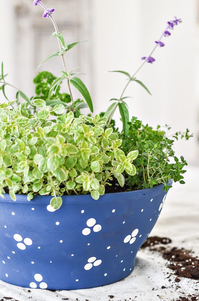 CONTAINER HERB GARDEN- DIY