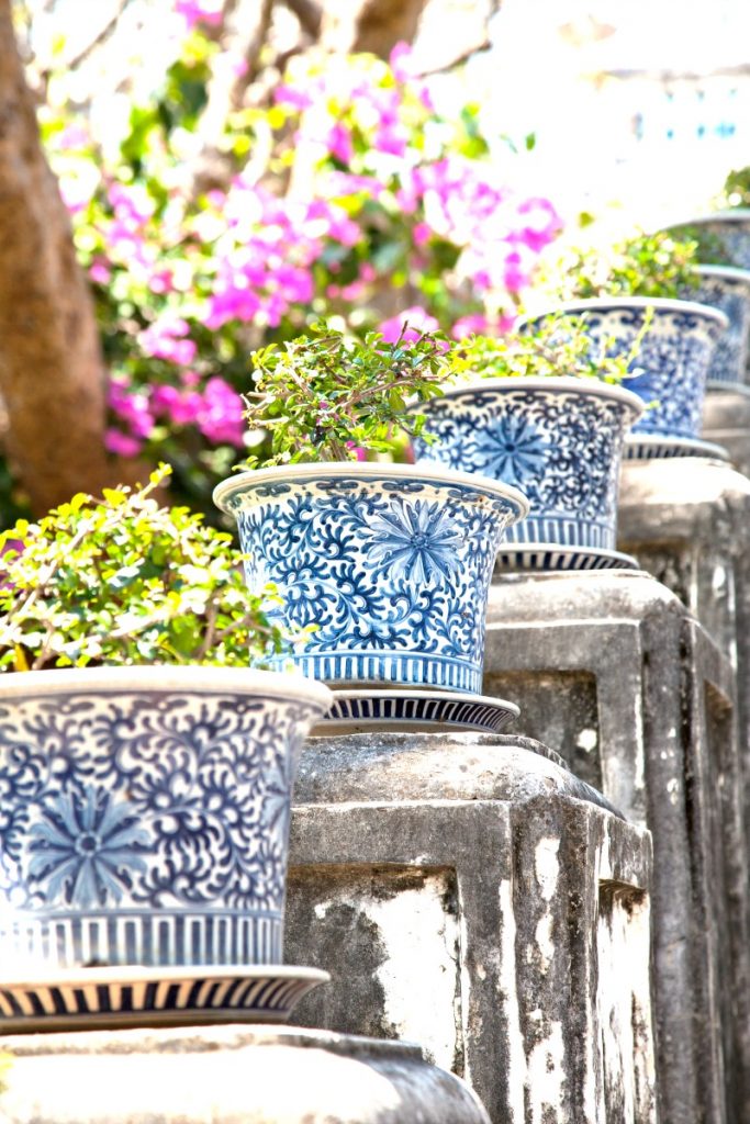 row of blue and white pots with small evergreen trees