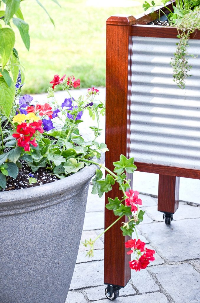 container gardens on the back porch