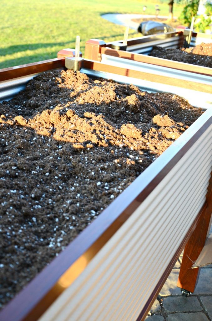 container gardens filled with dirt