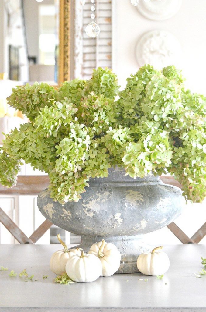 GREEN HYDRANGEAS IN A BIG GRAY URN