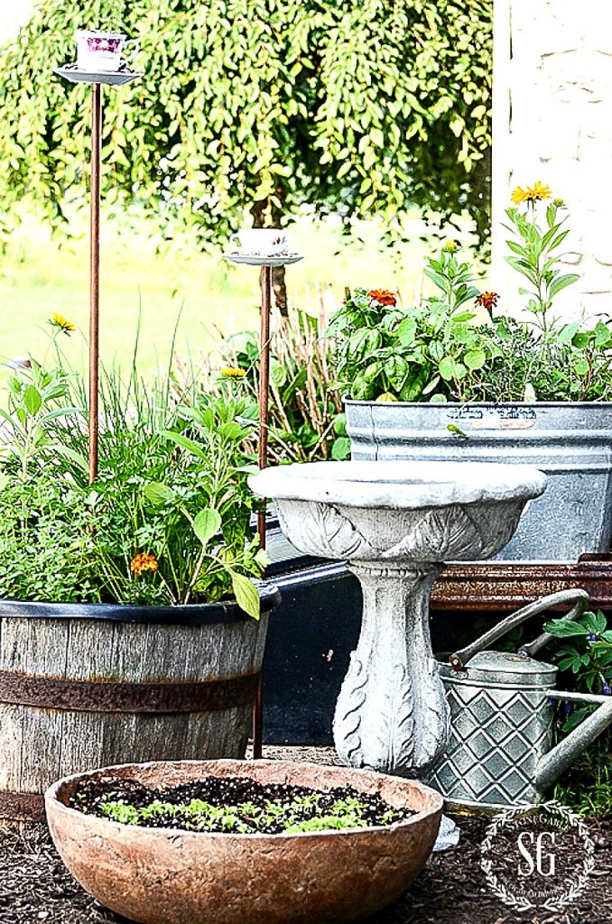 herb garden in various pots and containers on the patio with birdbath and bird feeders