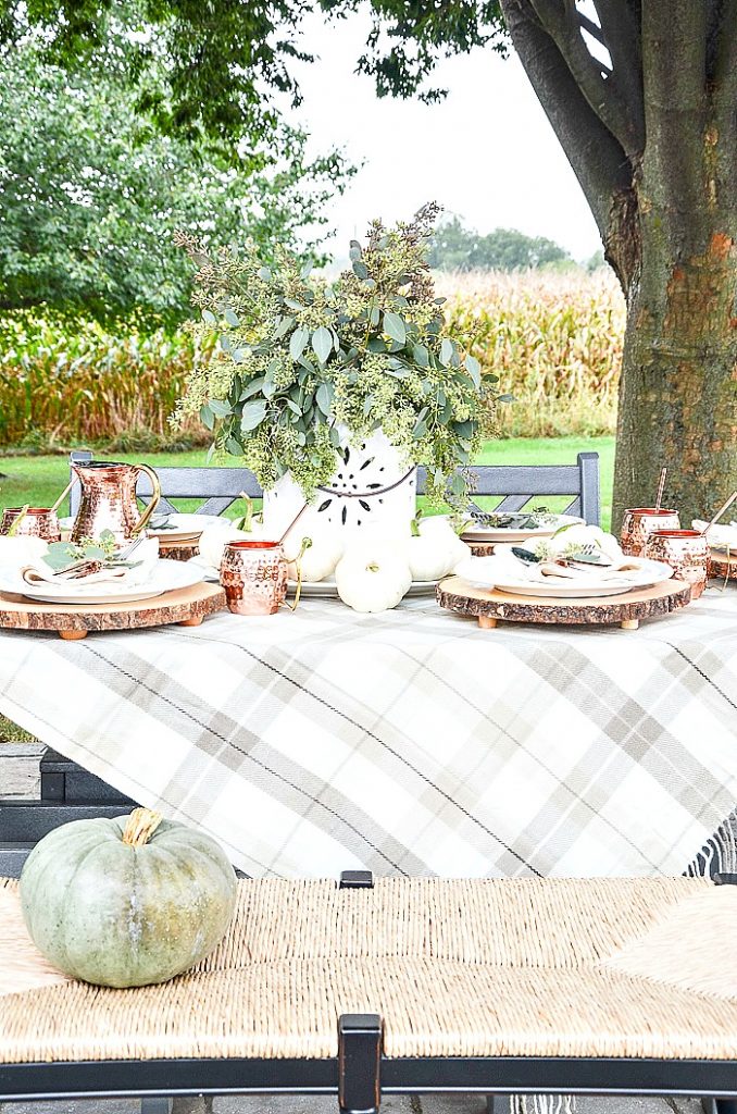 BEAUTIFUL OUTDOOR FALL TABLE