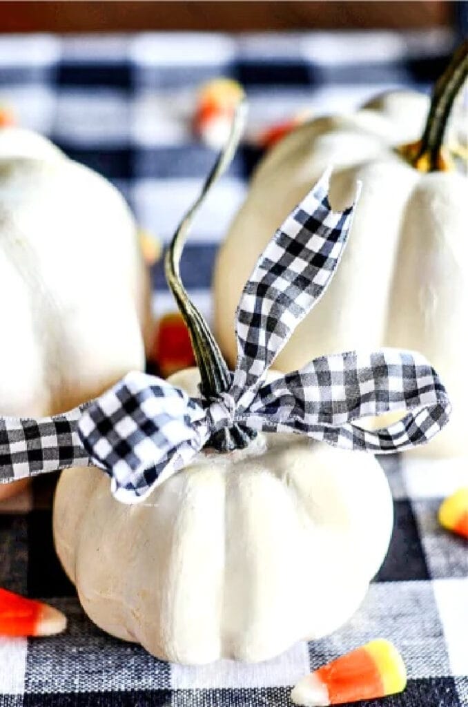 FALL PUMPKINS- PAINTED PUMPKINS