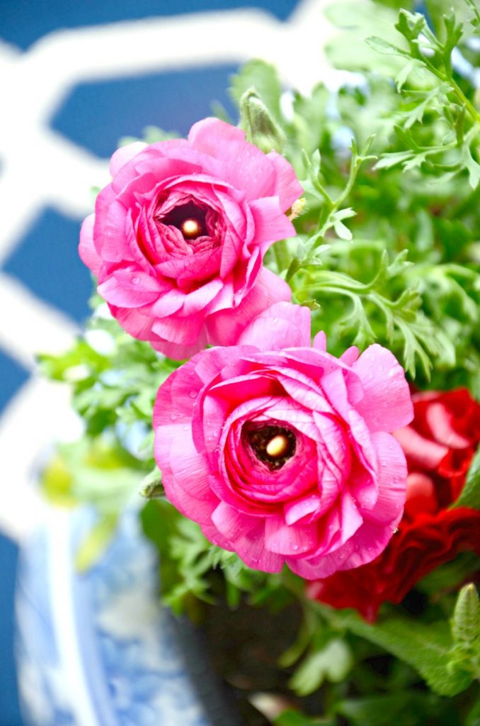 pink flowers in a blue and white ceramic container garden.