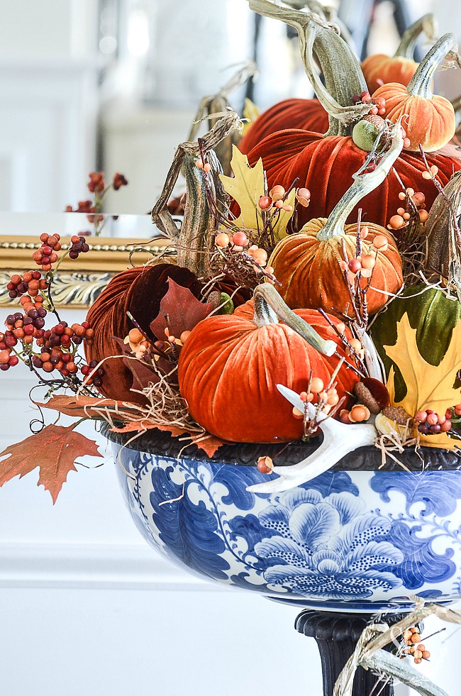 VELVET PUMPKINS IN A BLUE AND WHITE BOWL