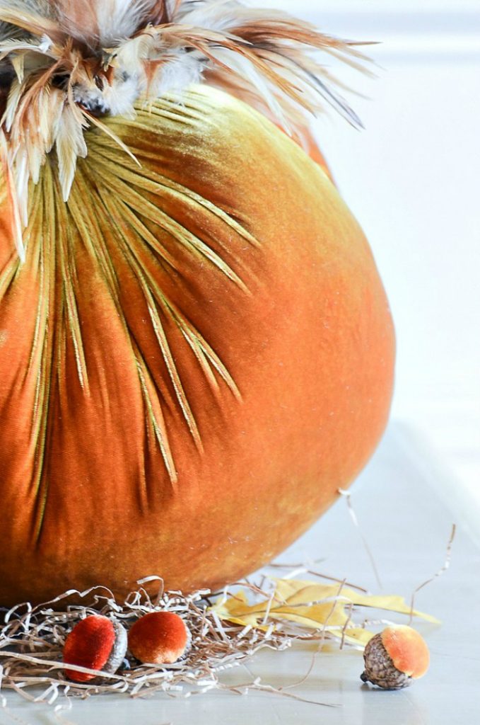 BIG ORANGE VELVET PUMPKINS AND LITTLE VELVET ACORNS