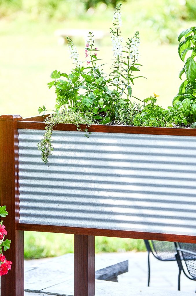 herbs in container garden on the patio