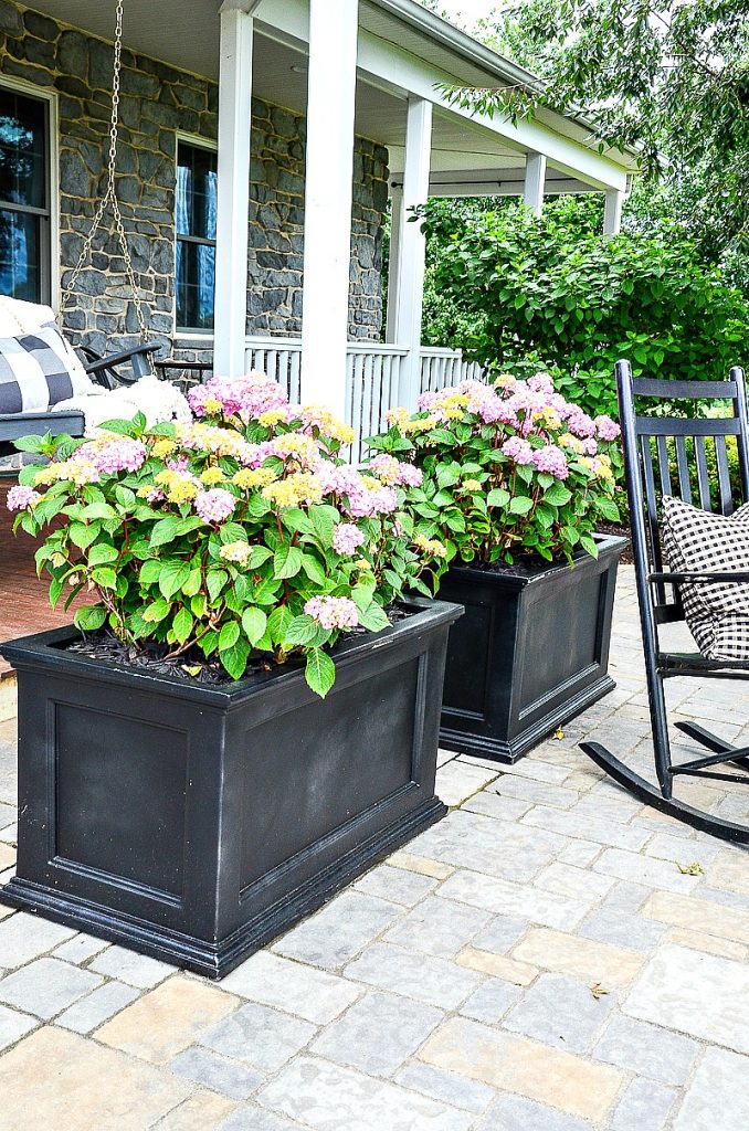 back patio and porch with rocking chairs and hydrangeas in planters