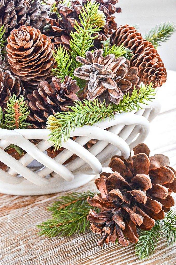 PINECONES AND GREENS IN A BOWL