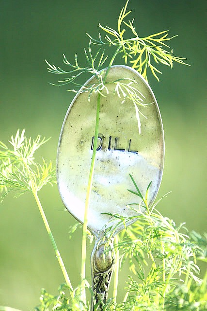 dill silver spoon garden marker