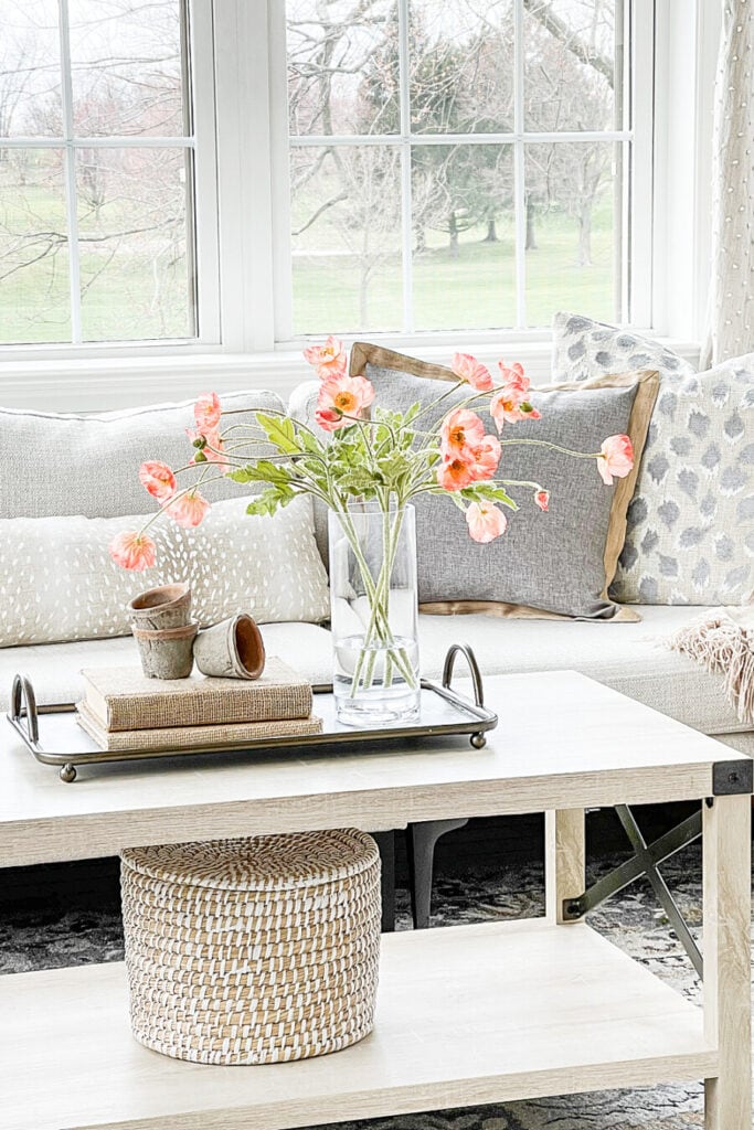 COFFEE TABLE IN A SUNROOM