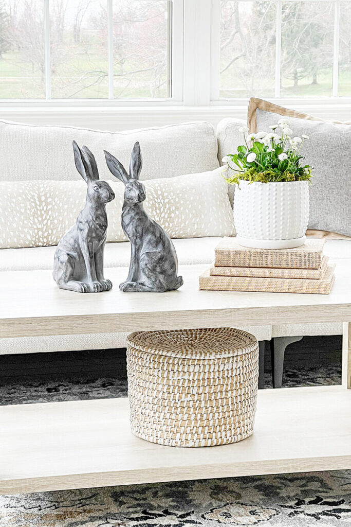 COFFEE TABLE IN SUNROOM