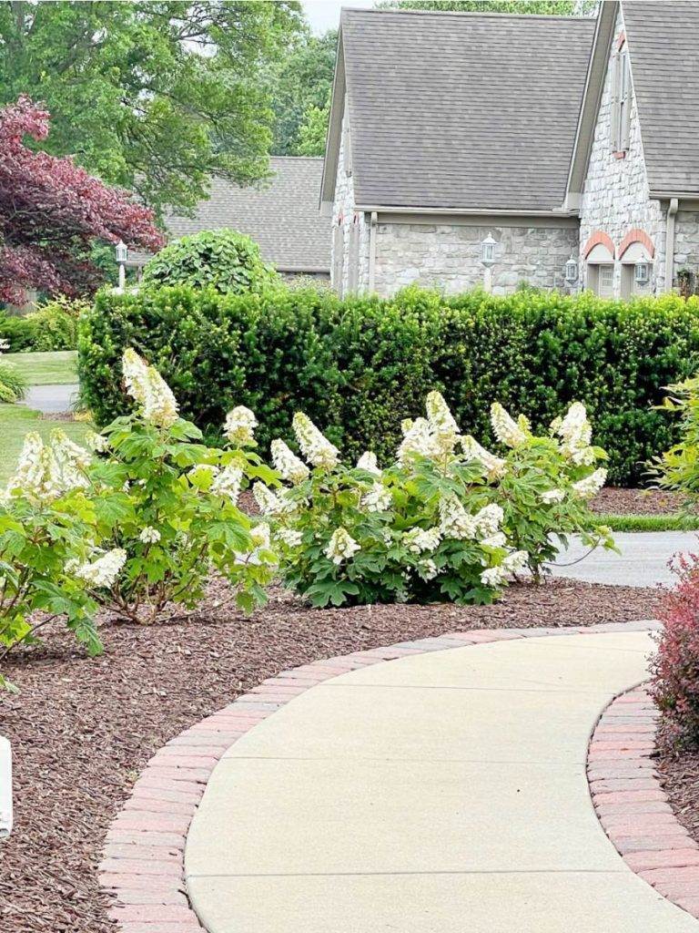 HOUSES IN A NEIGHBORHOOD