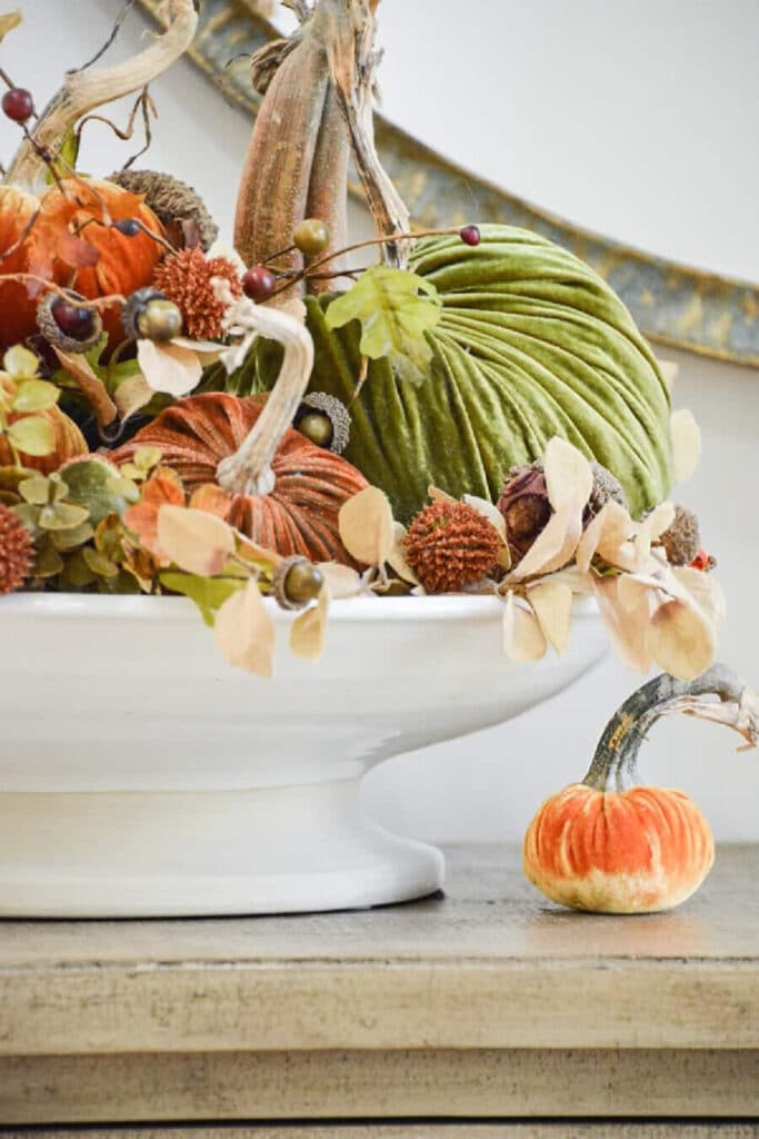 velvet pumpkins in a white bowl