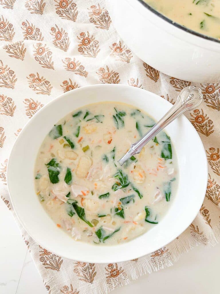 CHICKEN GNOCCHI RECIPE-top view of pot and bowl of soup