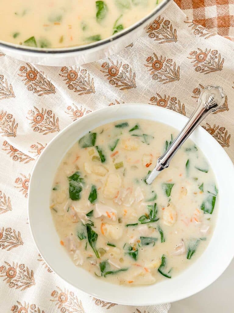 CHICKEN GNOCCHI RECIPE- pot of soup and bowl