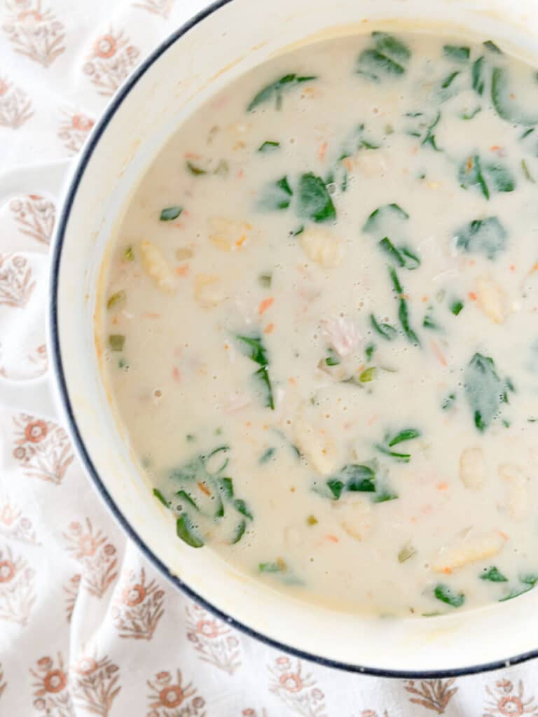 pot of soup with gnocchi, chicken and spinach