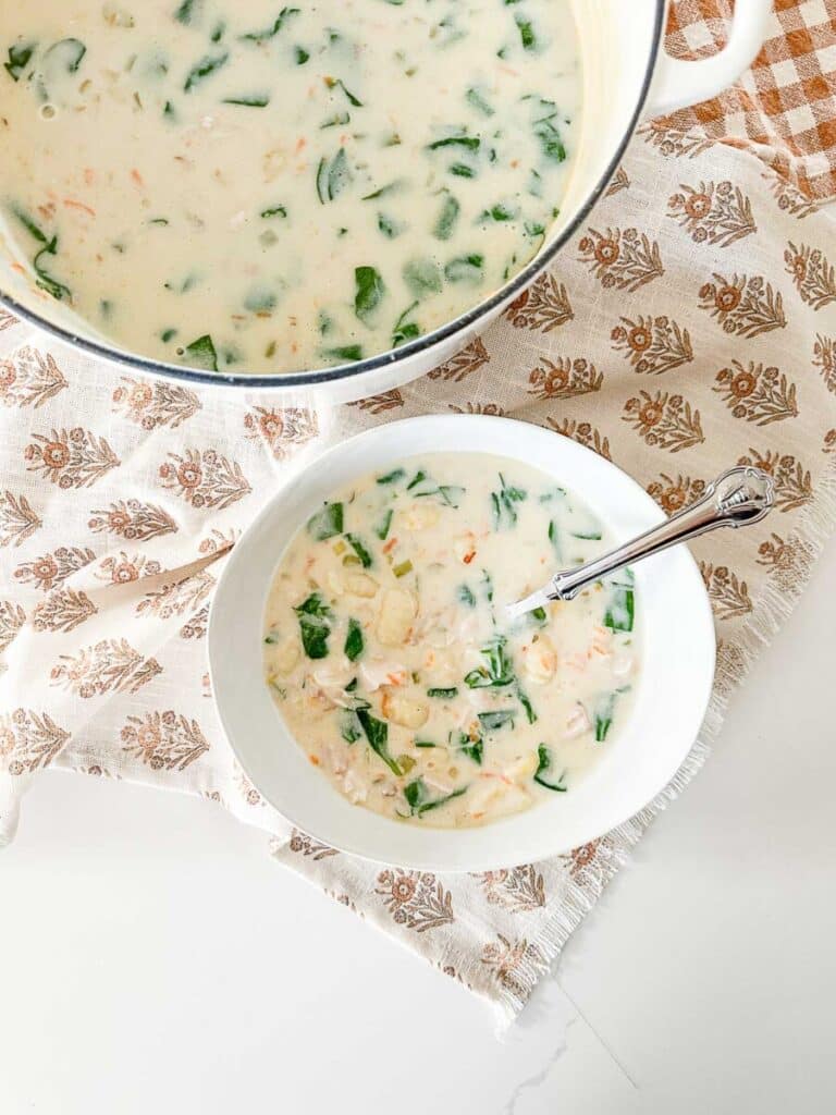 CHICKEN GNOCCHI RECIPE-top view of pot and bowl of soup