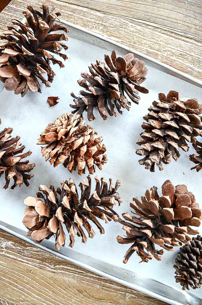 DECORATING WITH PINECONES-debugging pinecones