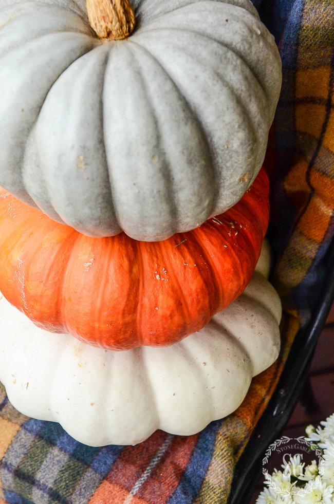 STACK OF PUMPKINS ON A TARTAN THROW