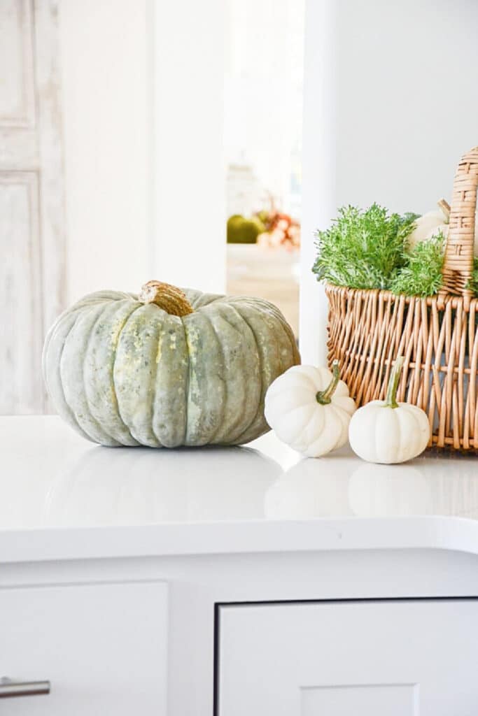 PUMPKIN ARRANGEMENT ON A KITCHEN COUNTER