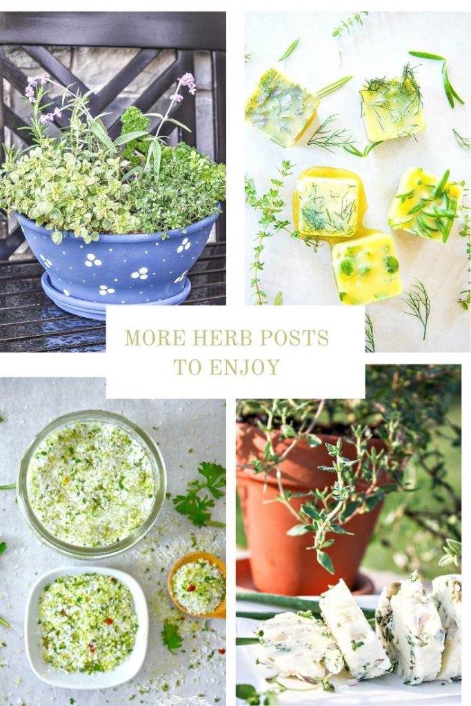 COLLAGE OF HERB POSTS