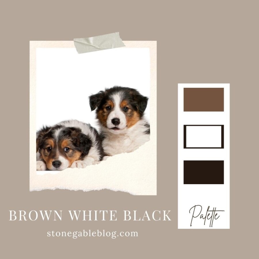 graphic for brown decorating