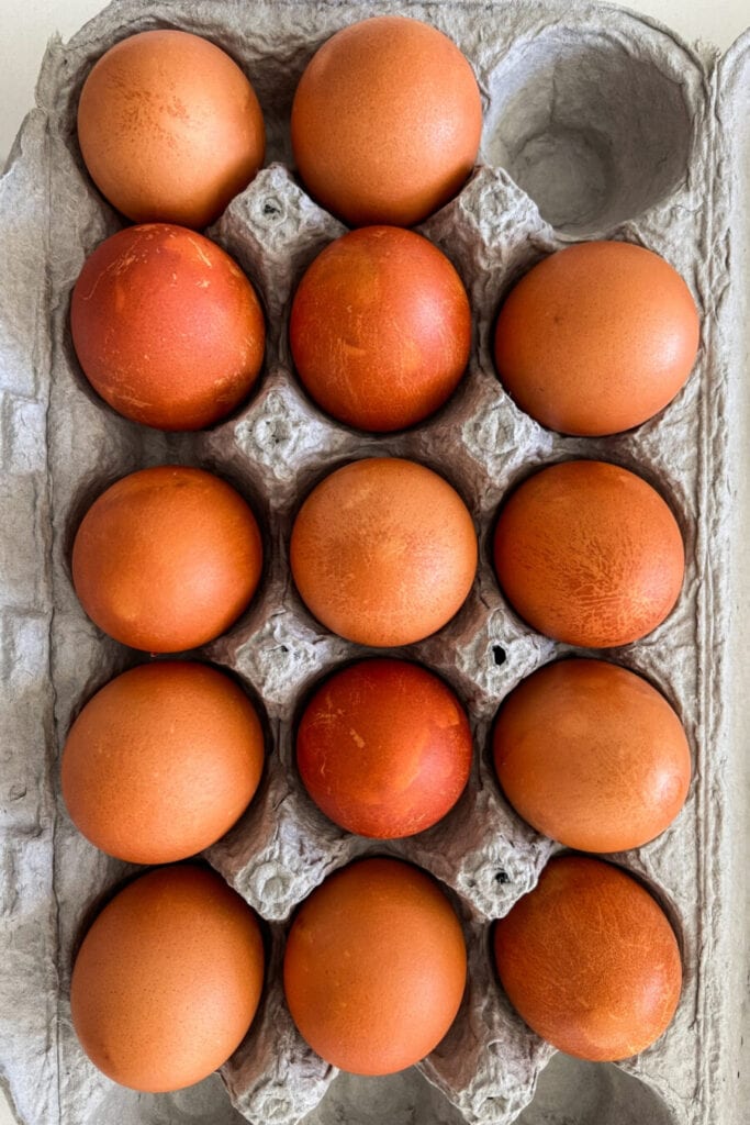 EGGS IN AN EGG CARTON