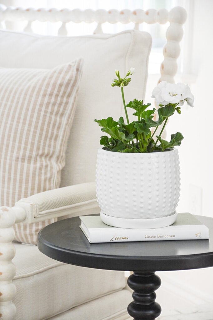 A WHITE GERANIUM IN A LITTLE WHITE POT