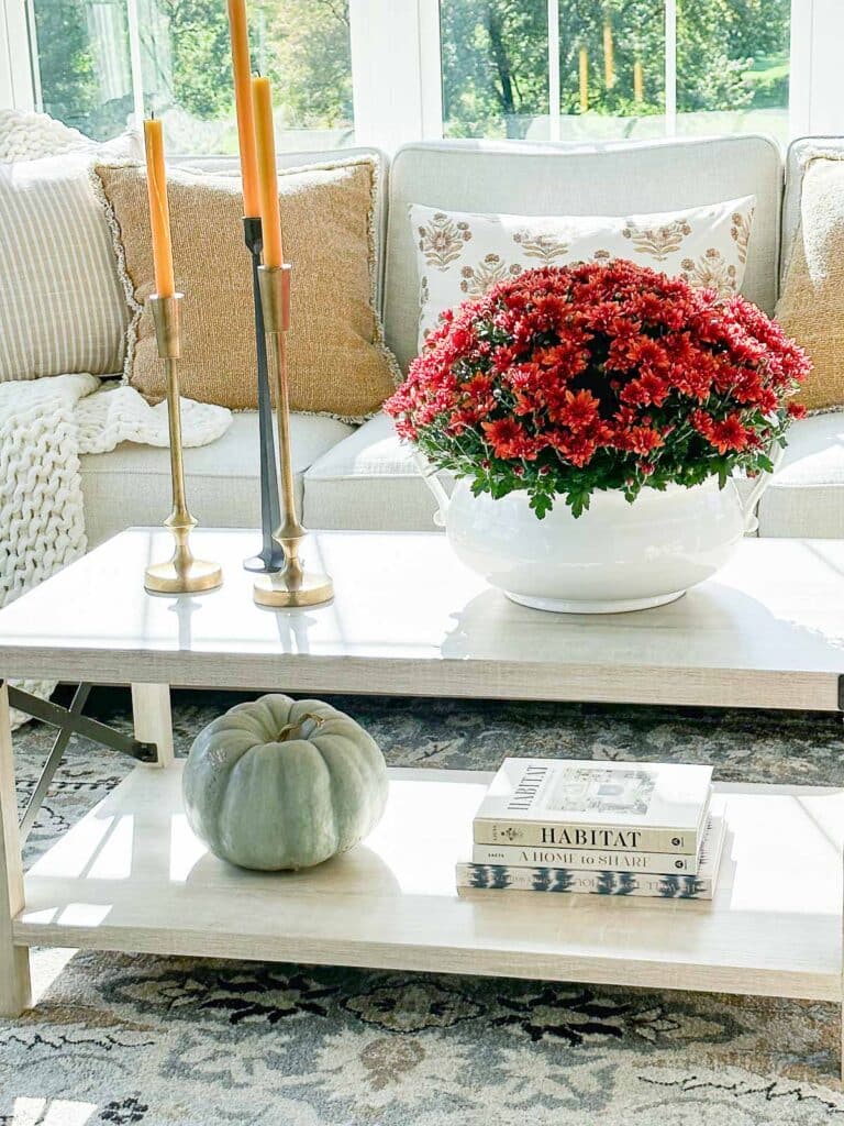 COFFEE TABLE WITH FALL DECOR