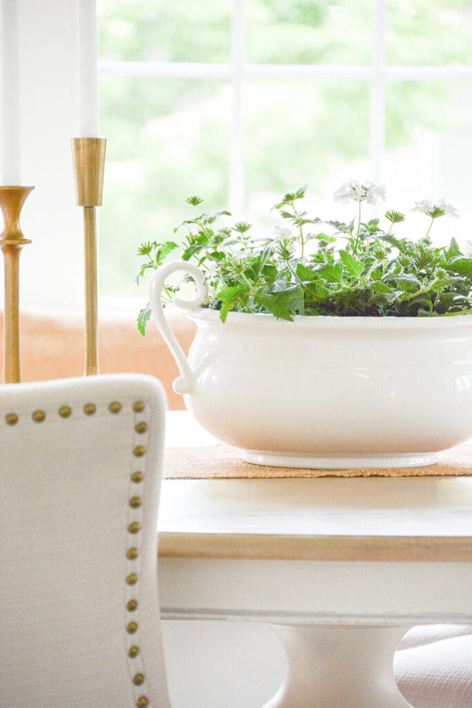 SUMMER PLANTS ON A DINING ROOM TABLE