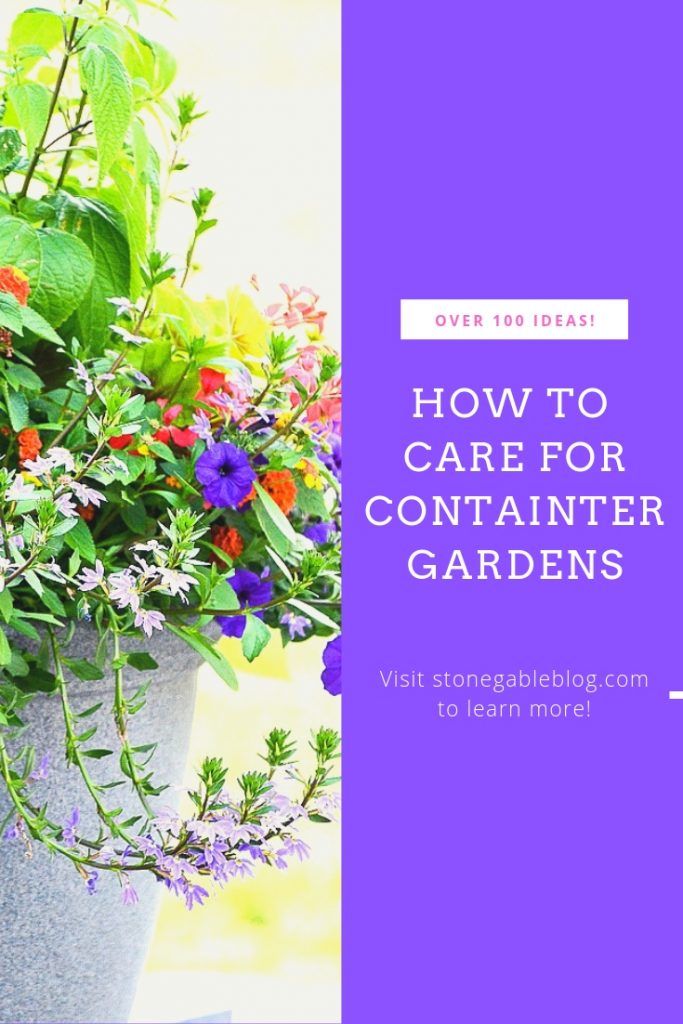 summer container garden