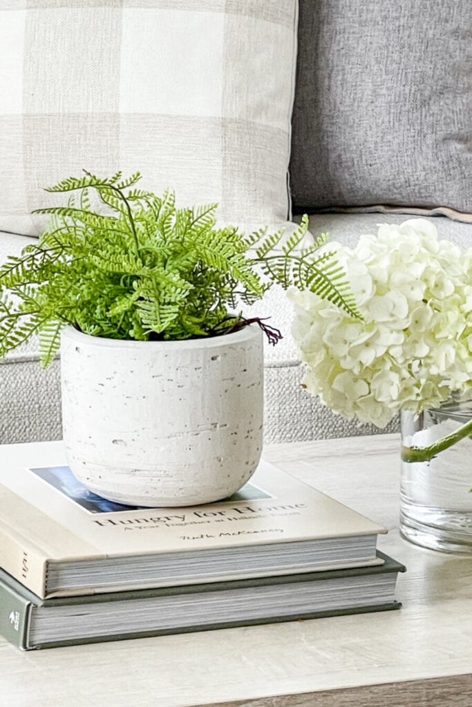 winter decor ideas- COFFEE TABLE WITH FERN