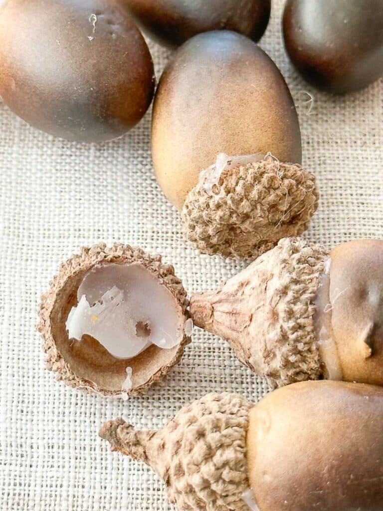 INSIDE OF ACORN CAP