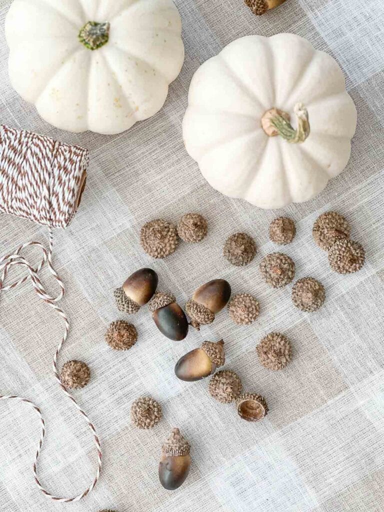 ACORNS AND WHITE PUMPKINS